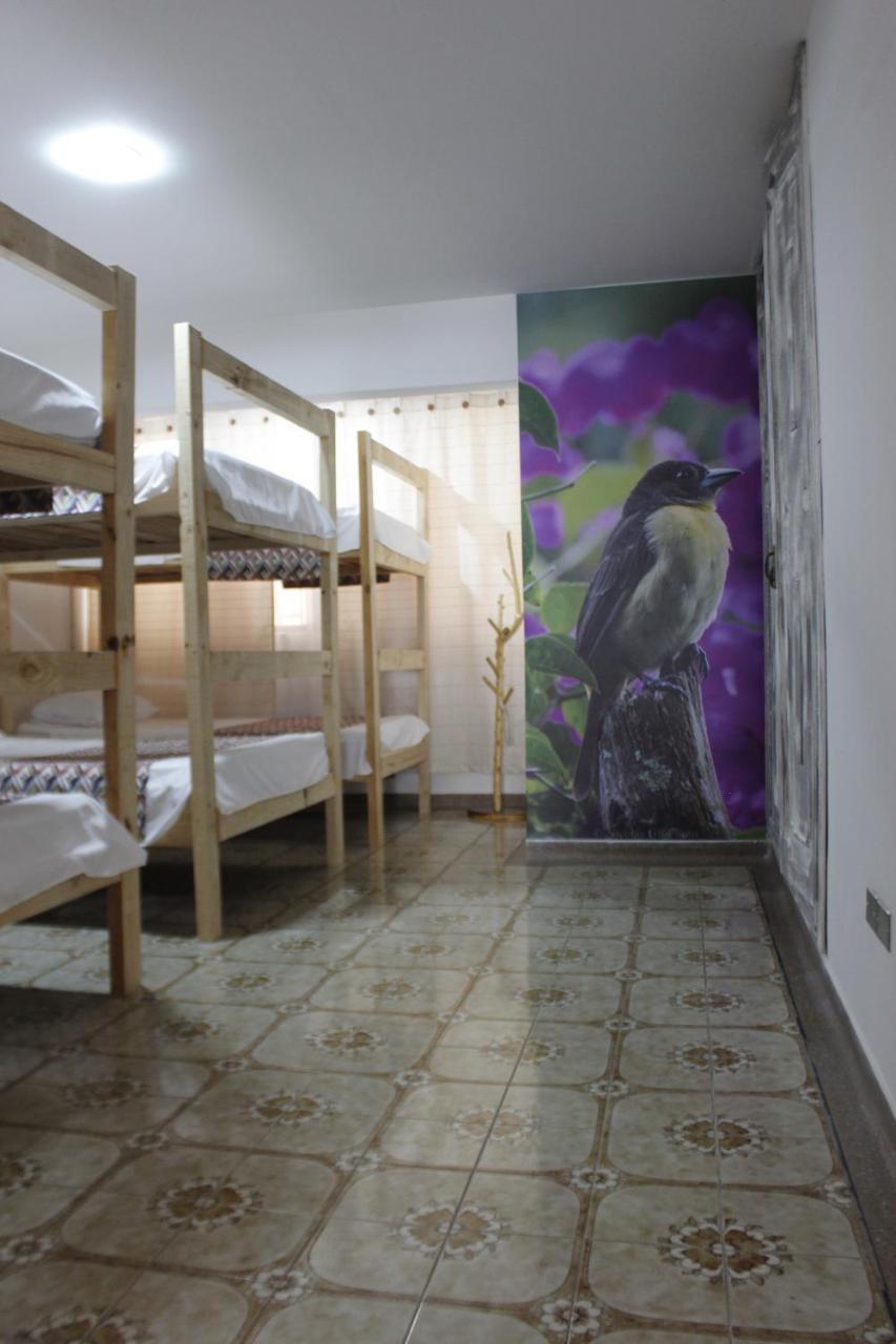 La Otra Mitad Hostel 亚美尼亚 外观 照片