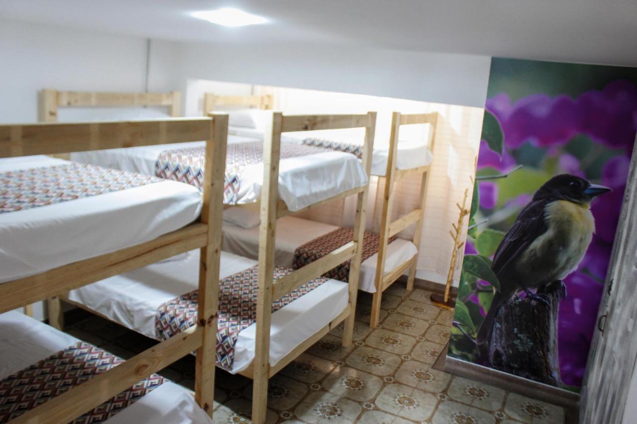 La Otra Mitad Hostel 亚美尼亚 外观 照片
